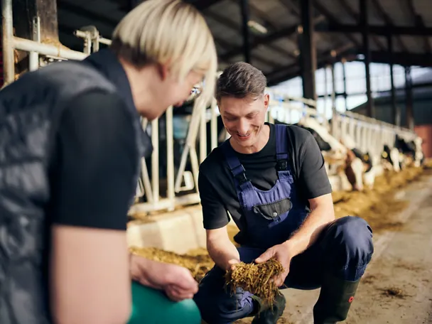 Expert advice on cattle  Expert advice on cattle