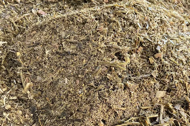 Step 5 of the bucket test Step 5 of the bucket test