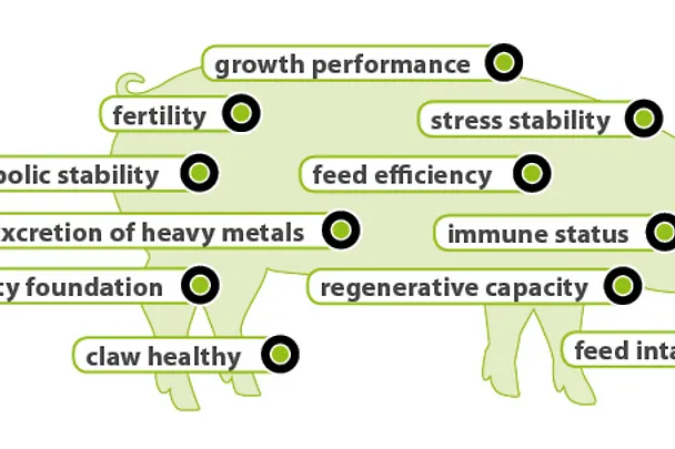 Key aspects of impact Key aspects of impact