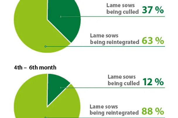 Loss rates Loss rates