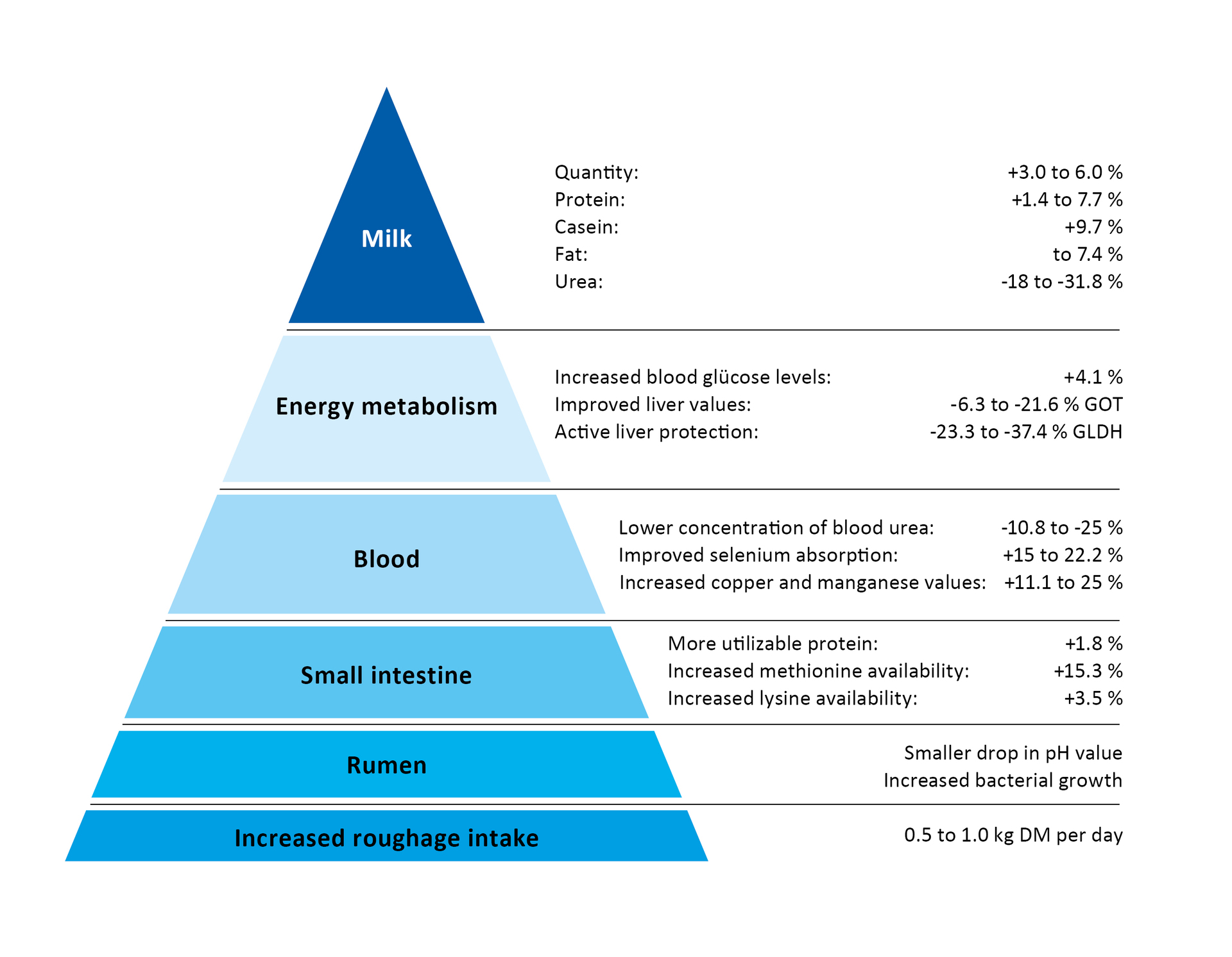 Performance pyramid BOVIN-S-KOMPLEX Performance pyramid BOVIN-S-KOMPLEX