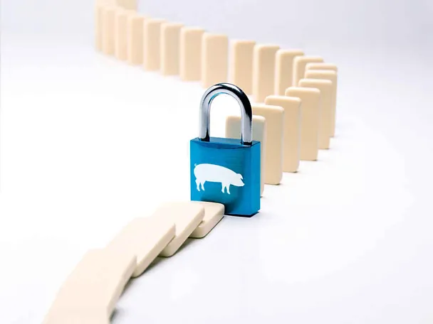 SCHAUMACID-Futtersäuren SCHAUMACID-Futtersäuren